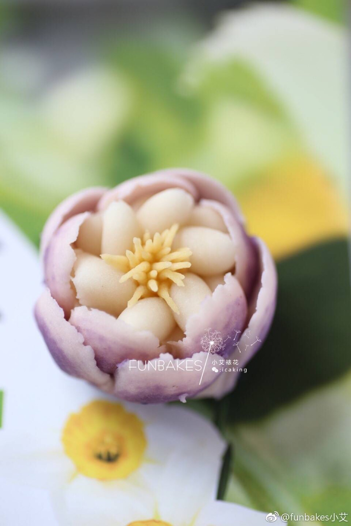 豆沙裱花