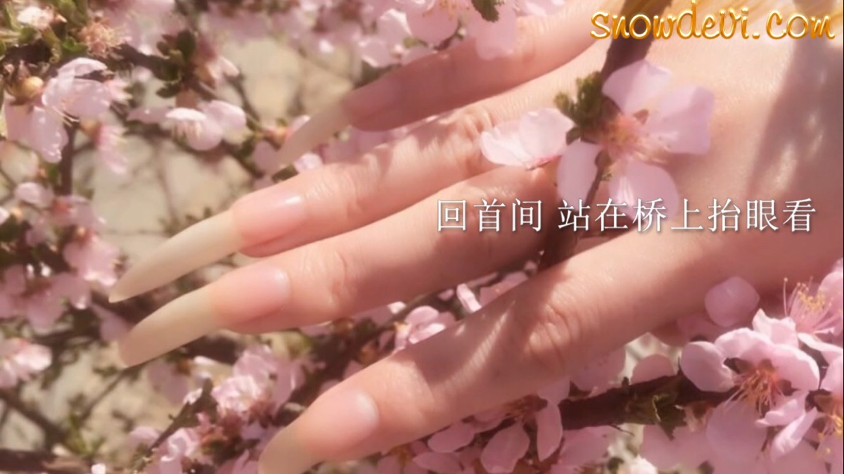 长指甲,long nails,snowdevi,花