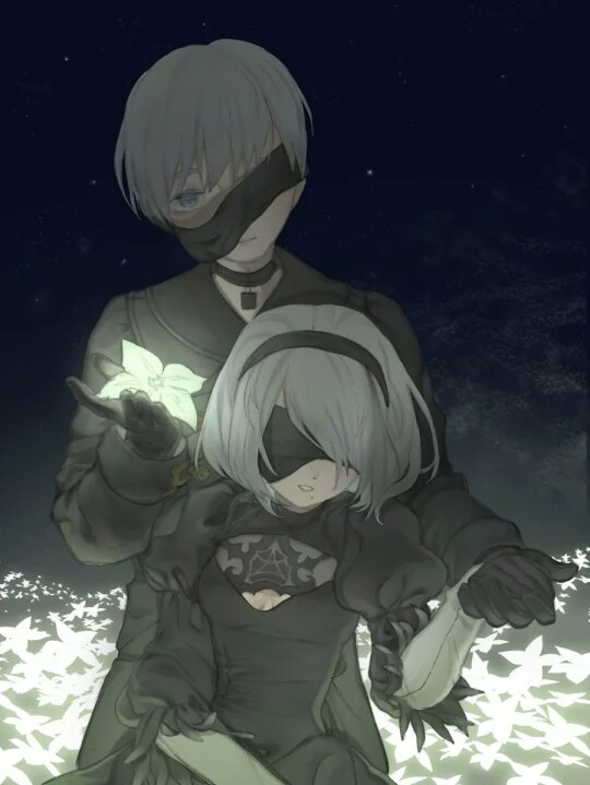 2b 9s