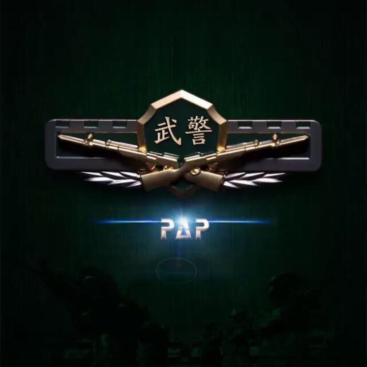 武警.