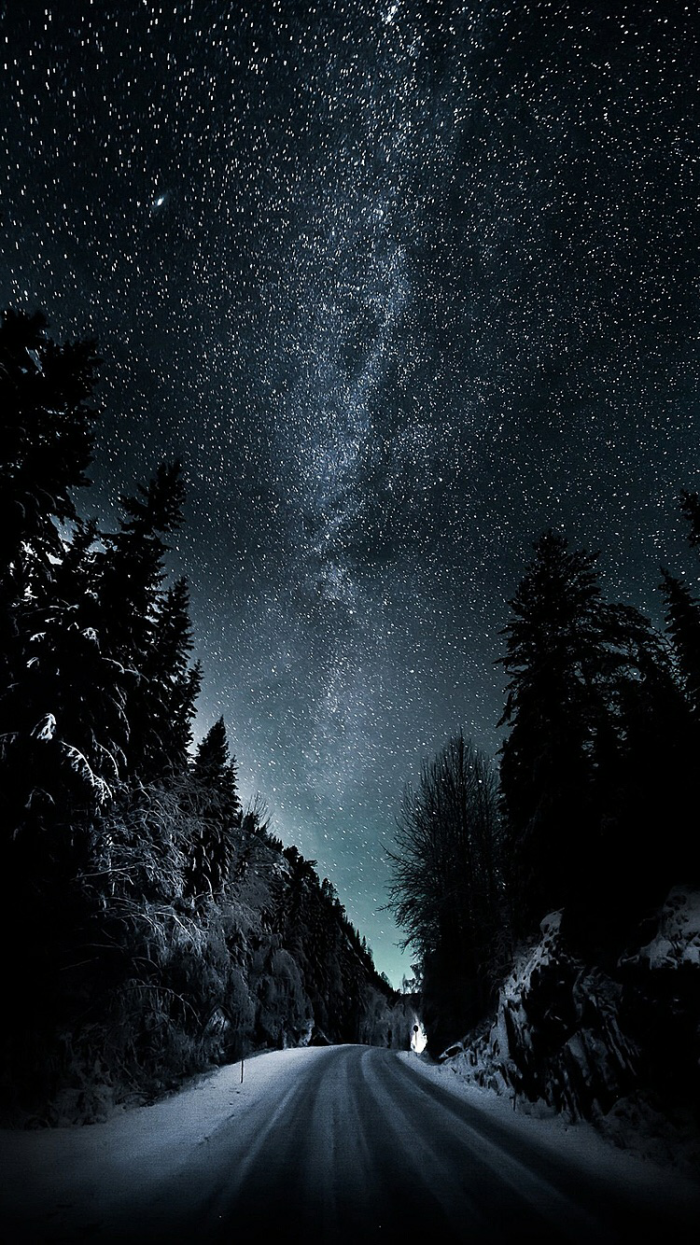 夜景 星空 天空 风景 森林