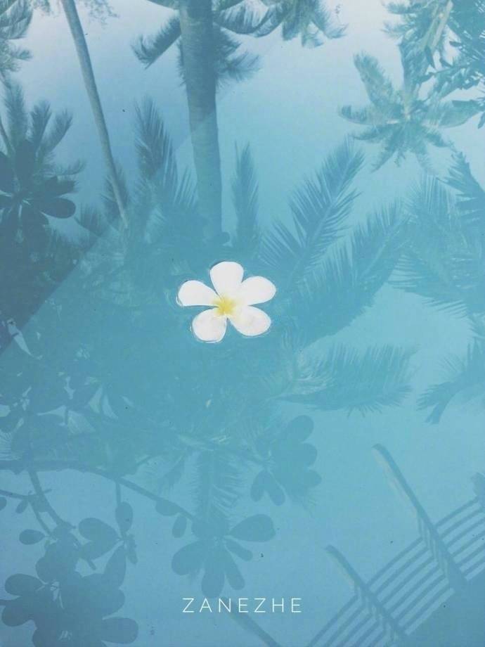 漂泊无依的名字