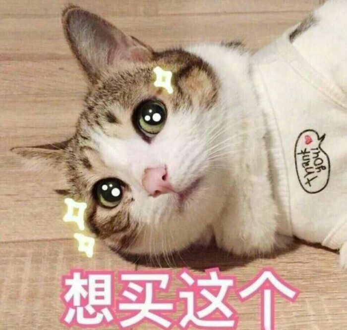 买买买之猫咪表情包 第二弹