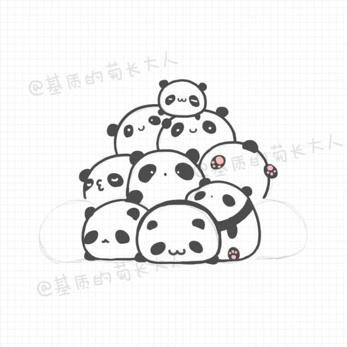 基质的菊长大人