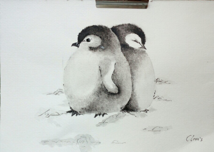 小企鹅 用的湿画法和点画法 但毛茸茸的质感还是不太明显
