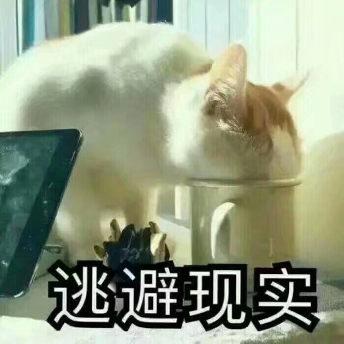 你经历过绝望吗-堆糖,美好生活研究所