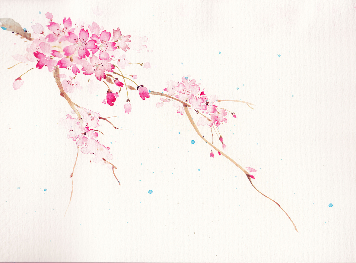 【古风故事】樱花