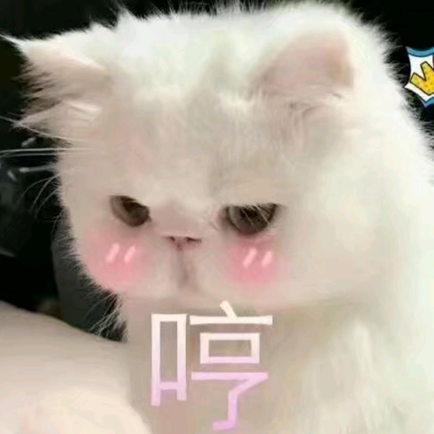 猫咪表情包