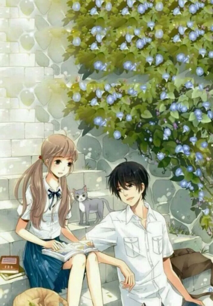 校园封面底图