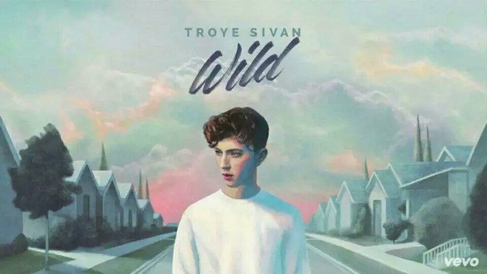 troye sivan戳爷wild