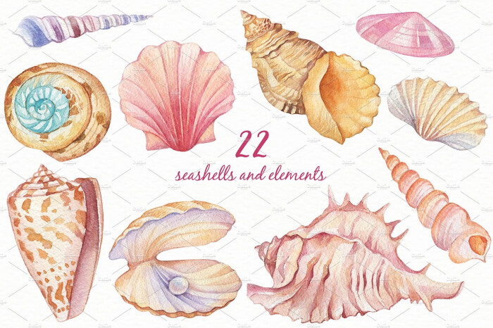 手账素材 水彩手绘 贝壳海螺-堆糖,美好生活研
