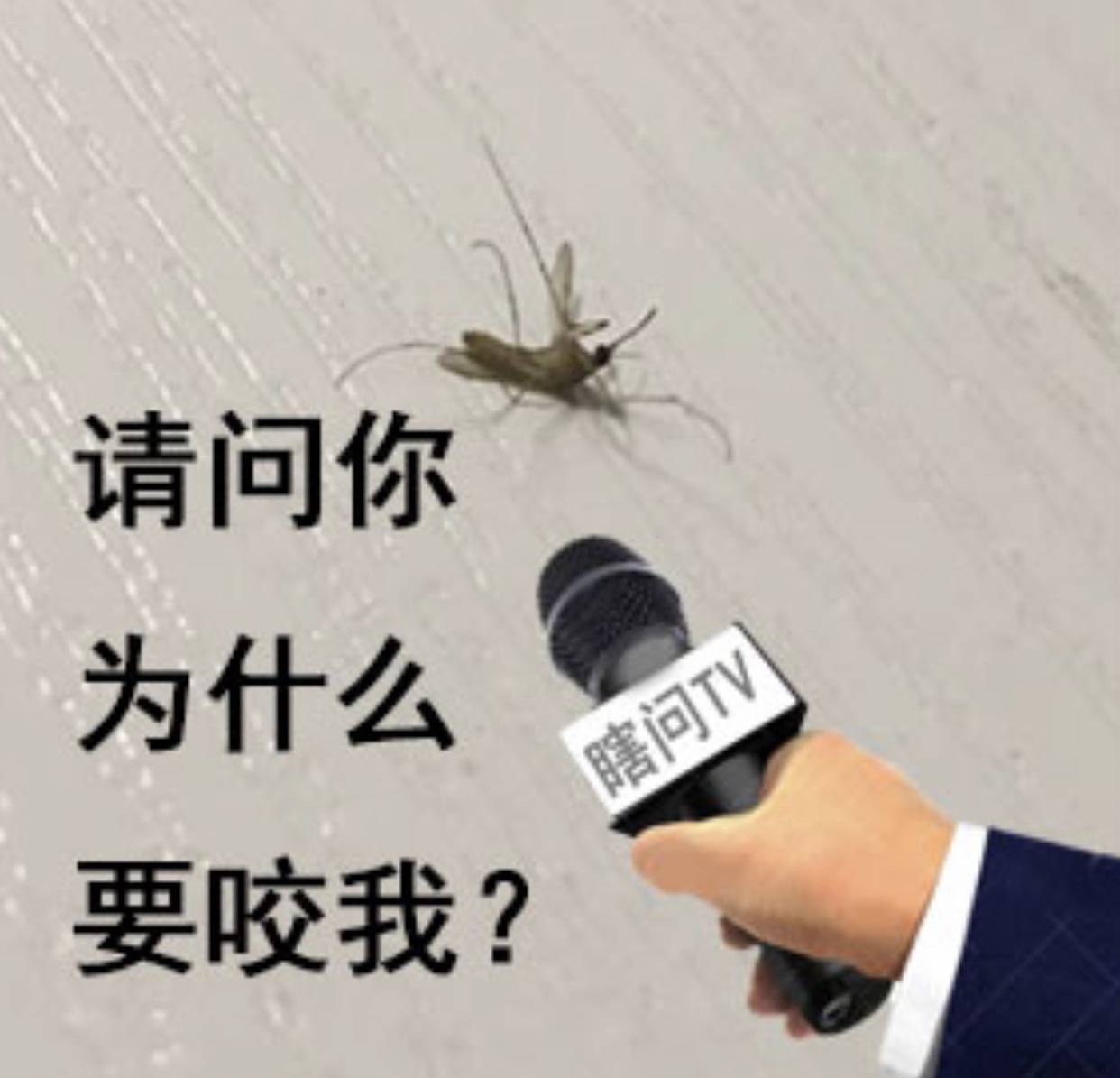 请问你为什么要咬我