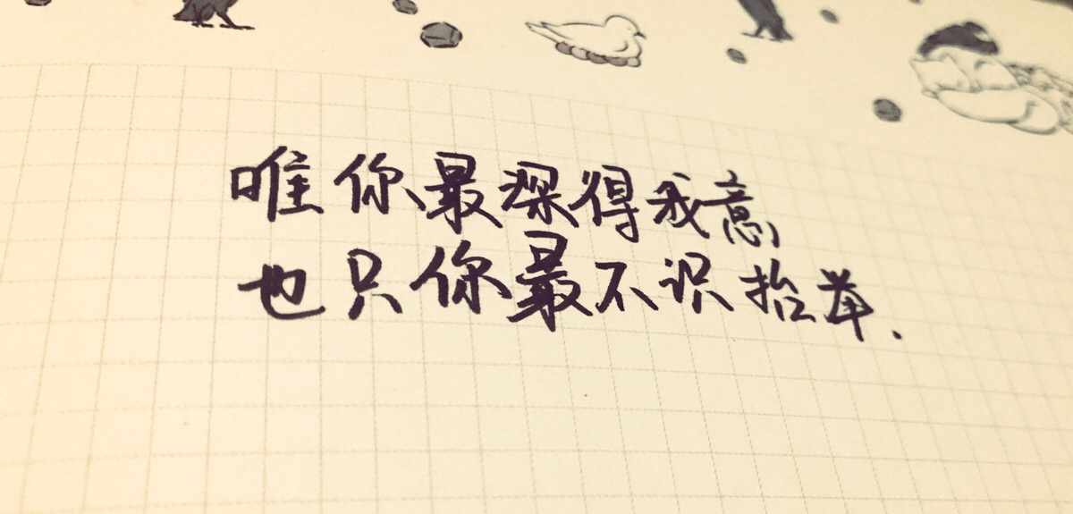 唯你最深得我意 也只你最不识抬举#手帐 表白 手写 抒情 伤感 语文