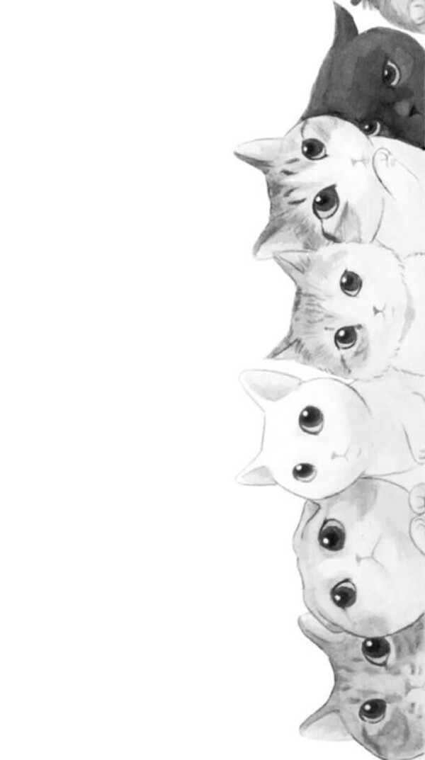 可爱猫猫壁纸