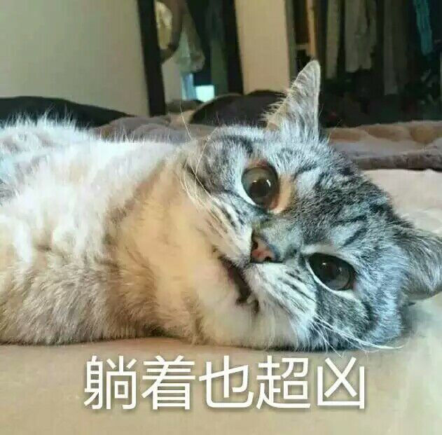 表情包 怼人 搞笑 斗图 鬼畜 可爱 猫咪 超凶 拿图点赞_(:з」∠)