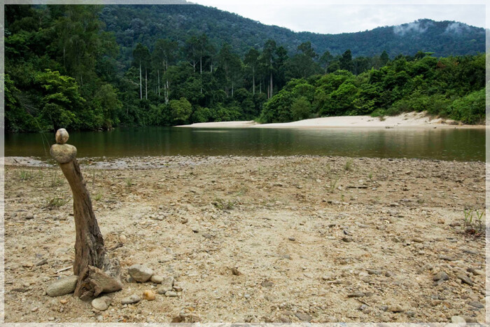 national parks johor endau rompin 兴楼云冰国家公园 柔佛州属