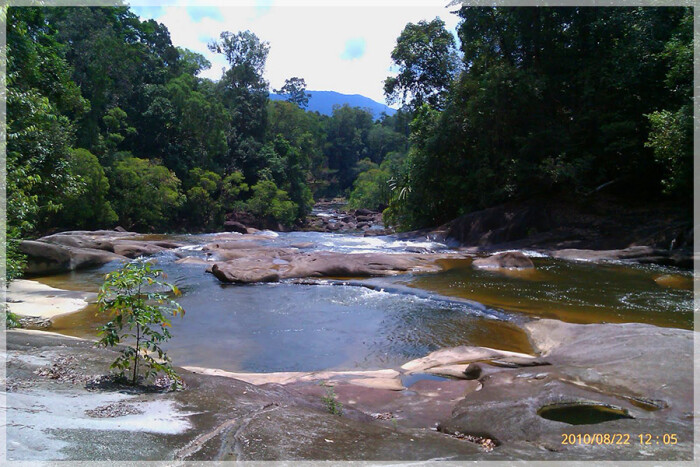 national parks johor endau rompin 兴楼云冰国家公园 柔佛州属