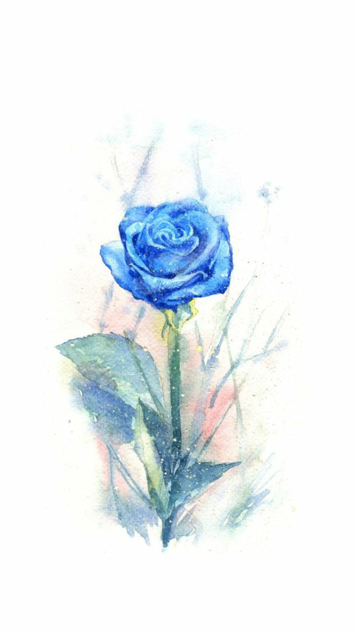 蓝玫瑰 手绘 水彩