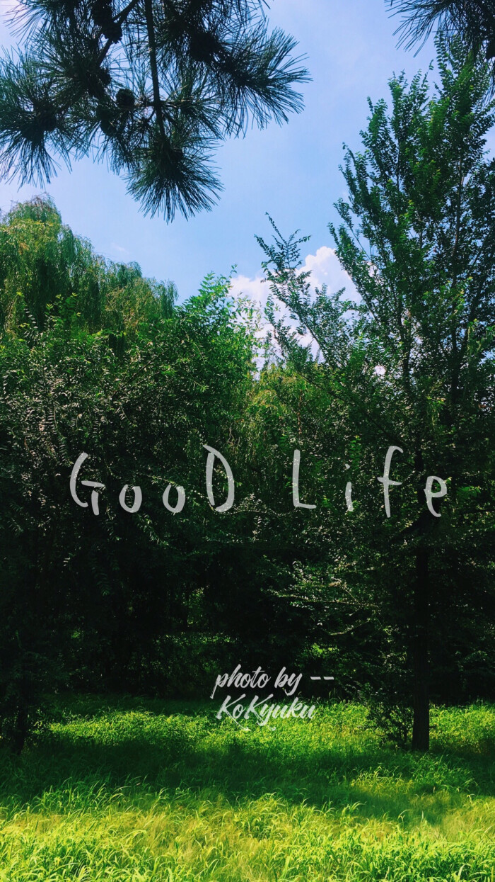 小清新 6s壁纸 英文 good life 绿色