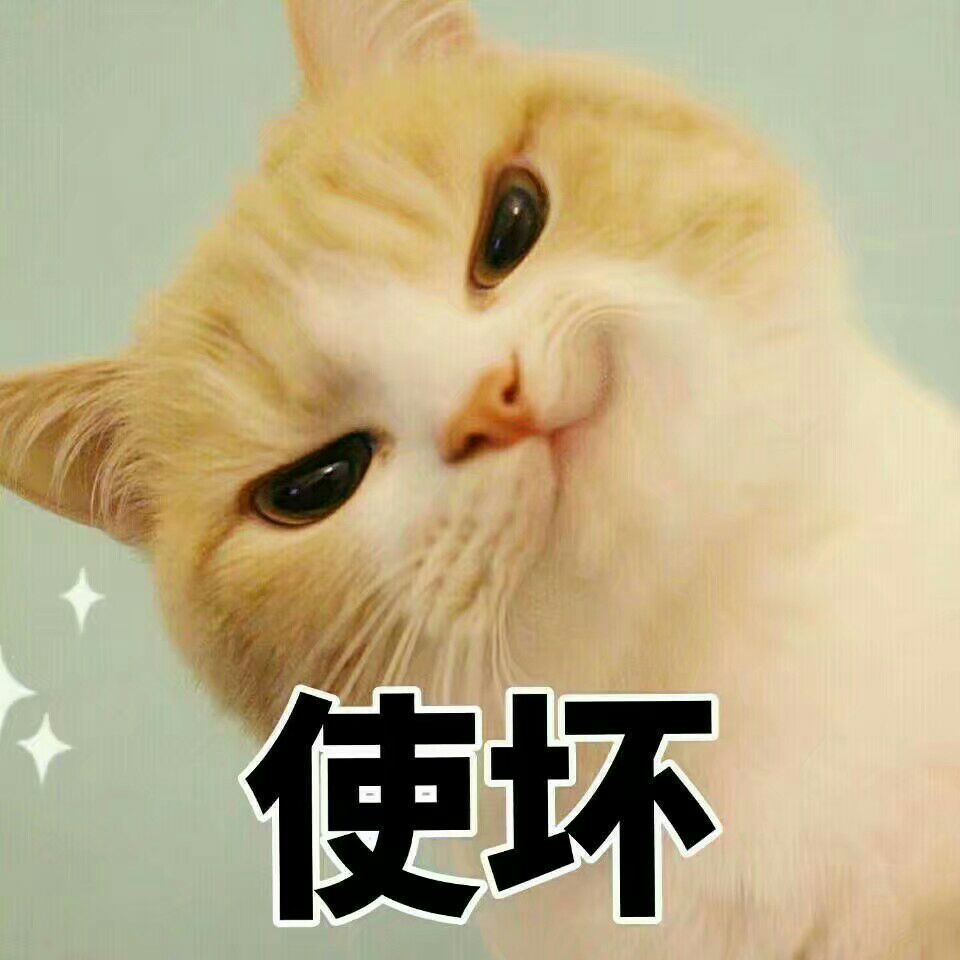 猫咪表情包