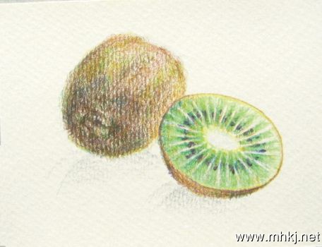 彩铅水果――猕猴桃作者:画画的阿六头