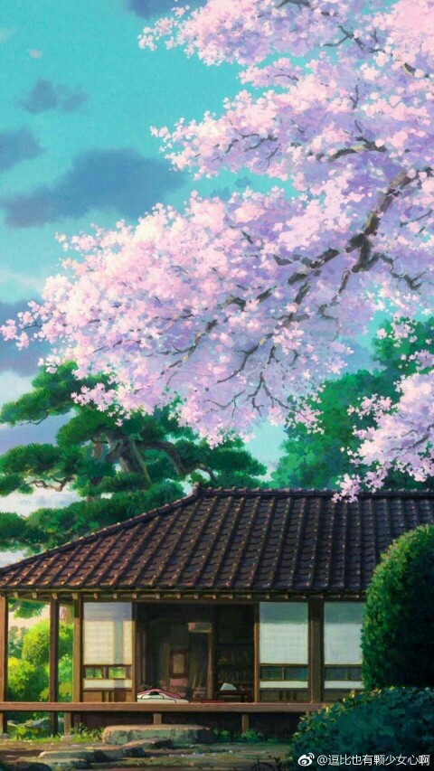 樱花 日本 动漫 二次元 背景 风景 插画 唯美