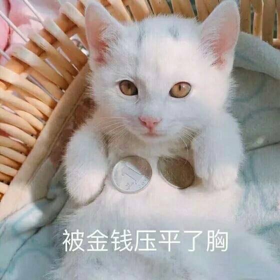 被金钱蒙蔽了双眼