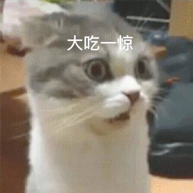 动物表情包 斗图 无水印
