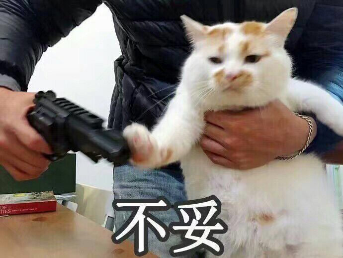 猫表情包可爱