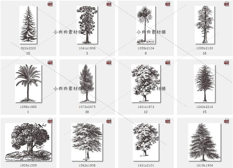 37种黑白铅笔画线稿素描临摹素材树木树林ai矢量设计素材ai259