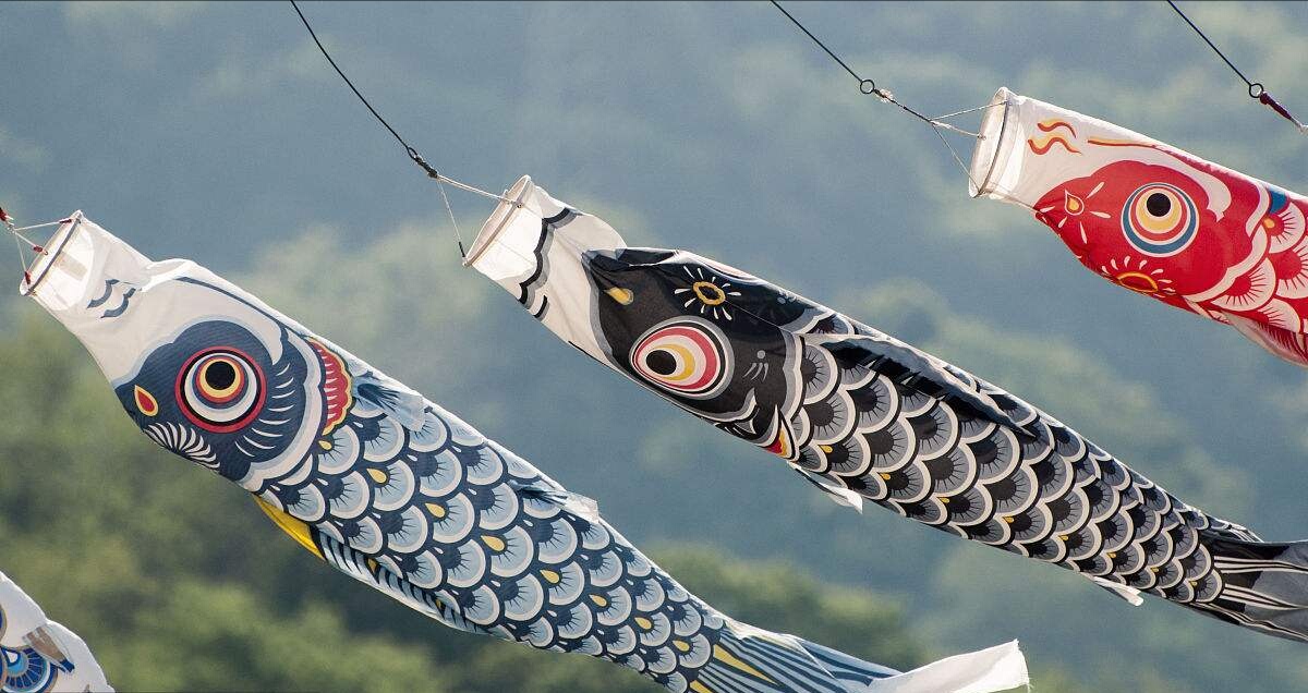 日本风物:鲤鱼旗鲤鱼旗,在日本为庆祝五-堆糖,美好生活研究所