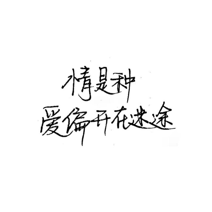 桃花诺歌词.
