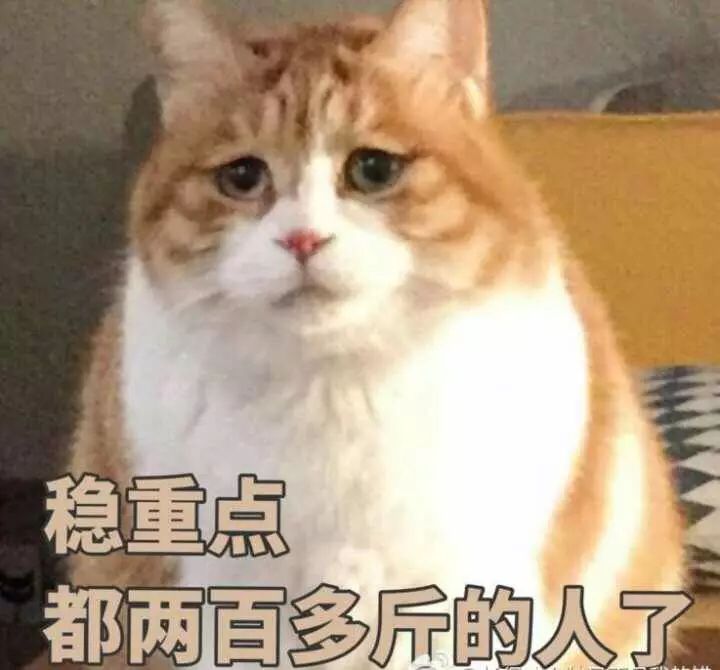 猫咪表情包,搞笑表情包