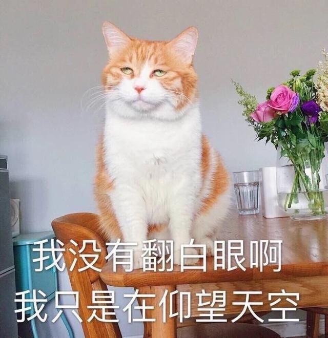 就是嫌弃你的表情.打我吖