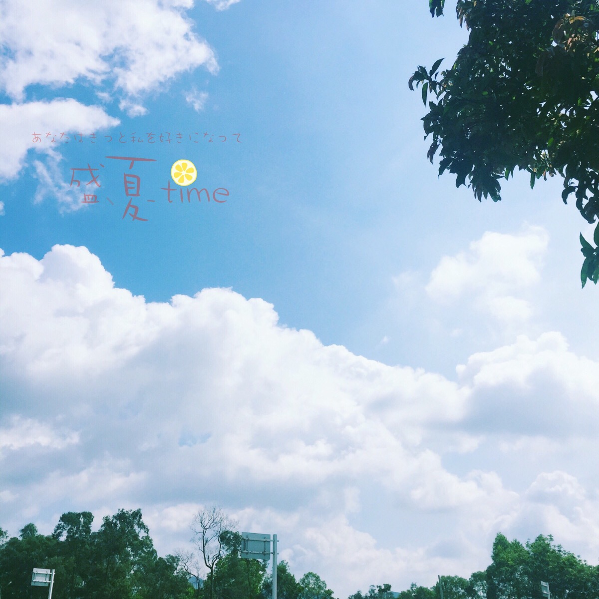 2017年8月14日 14:36   关注  天空 蓝天 云 小清新 夏天 评论 收藏