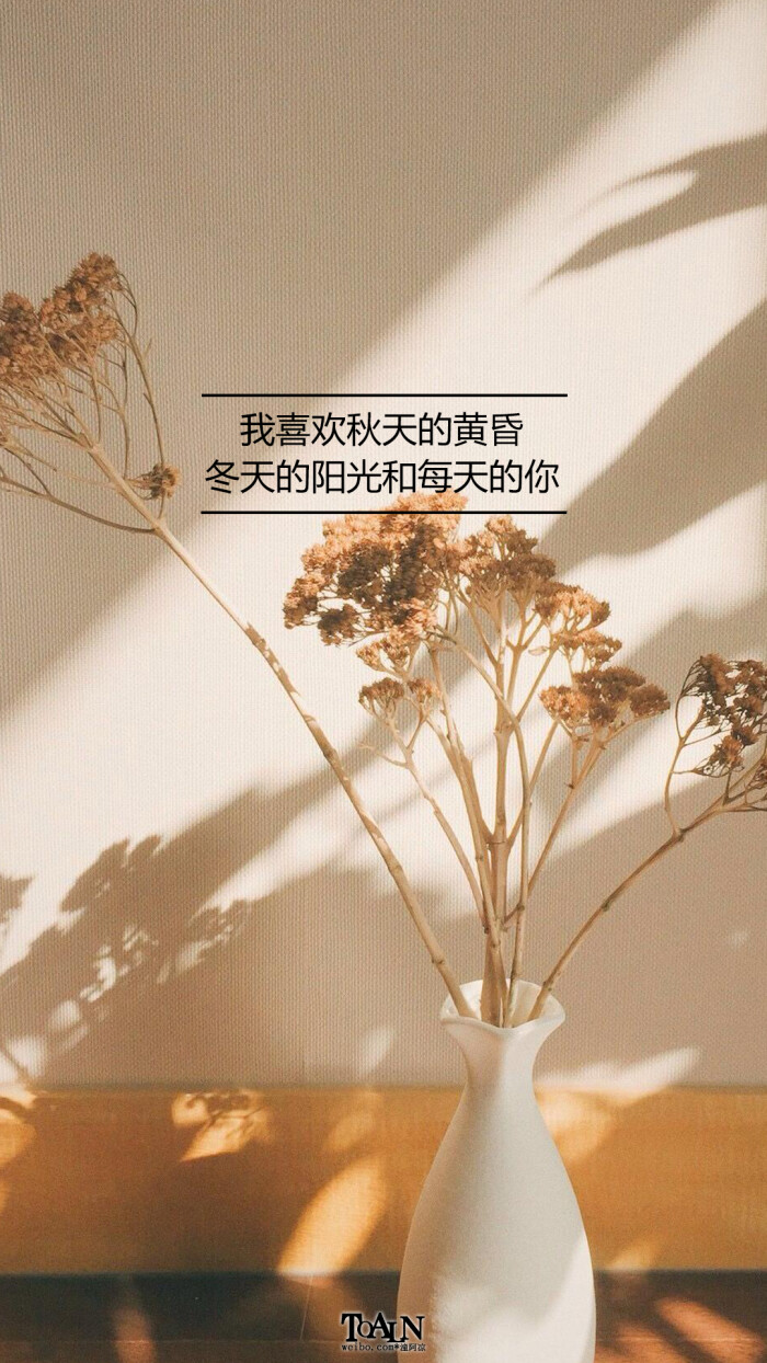 文字/句子/语录/情感/治愈/励志/伤感/古风/青春/手机壁纸/锁屏壁纸