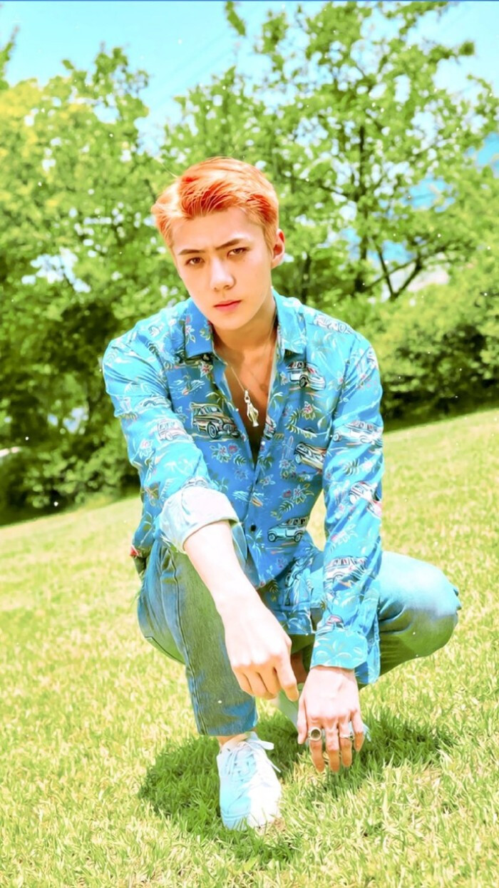 exo ,sehun ,ko ko bop