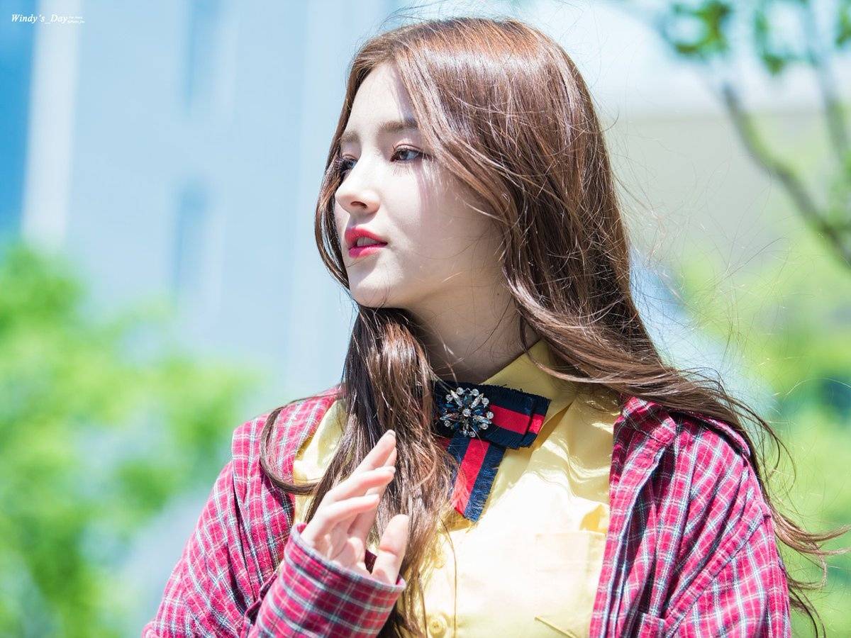 nancy