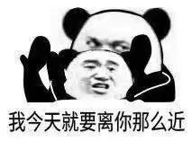 搞笑熊猫头表情包