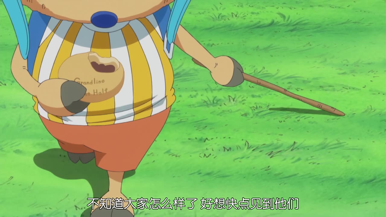 海贼王 乔巴
