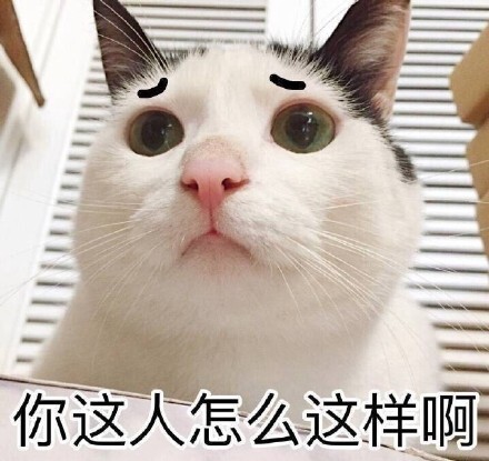 立白大大#装逼专用表情包;搞笑;猫