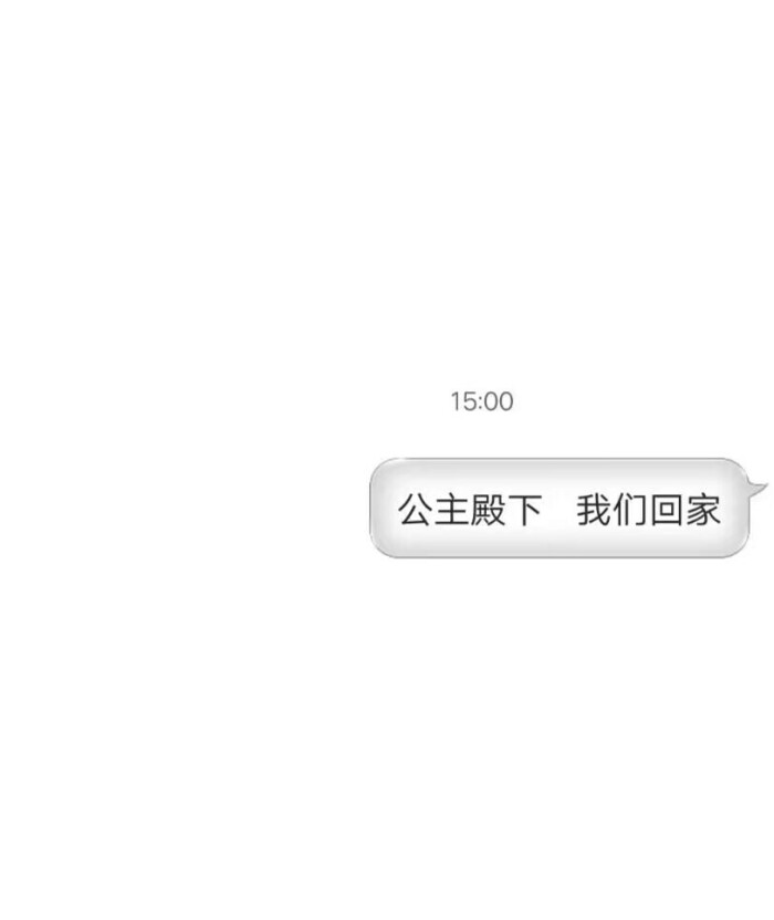 对话框白底情话. 公主殿下 我们回家.