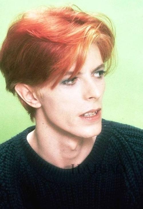 david bowie大卫鲍伊