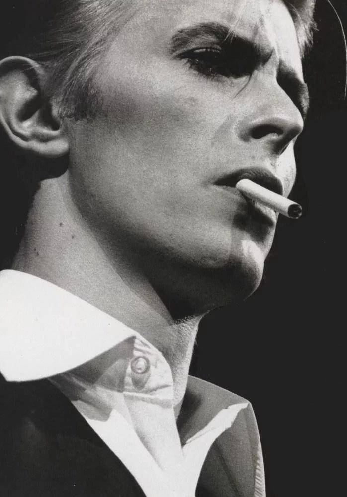 david bowie大卫鲍伊