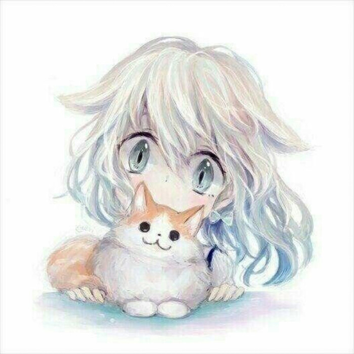 抱猫