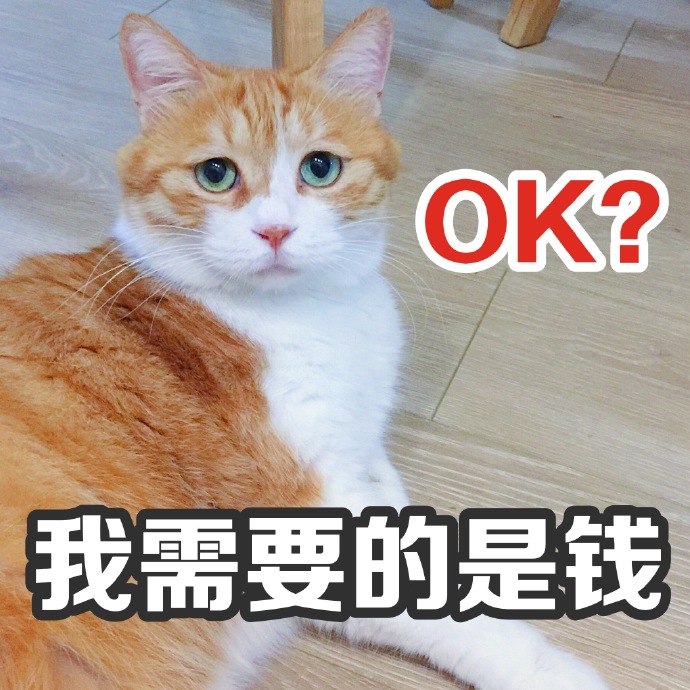 猫咪表情包