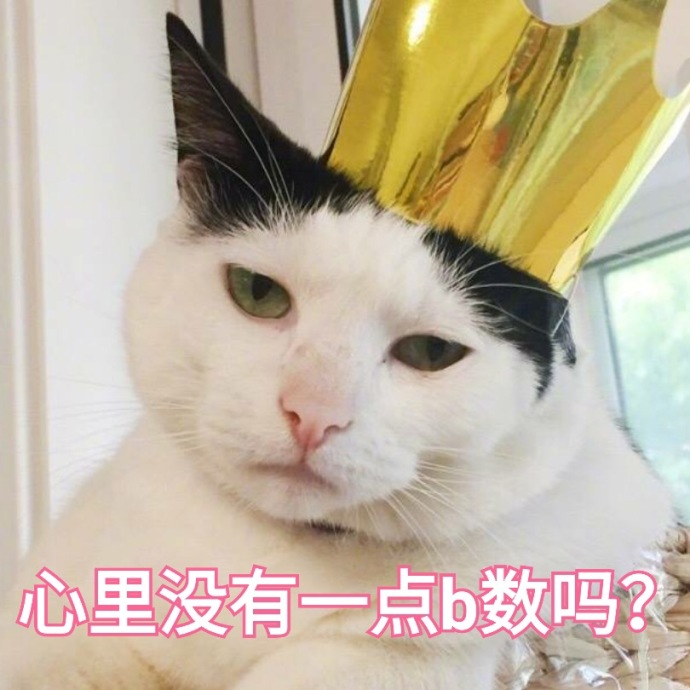 猫咪表情包