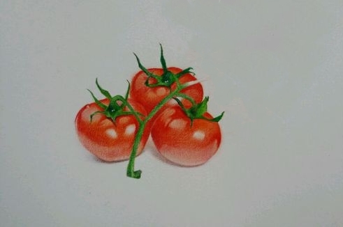 彩铅手绘(番茄)