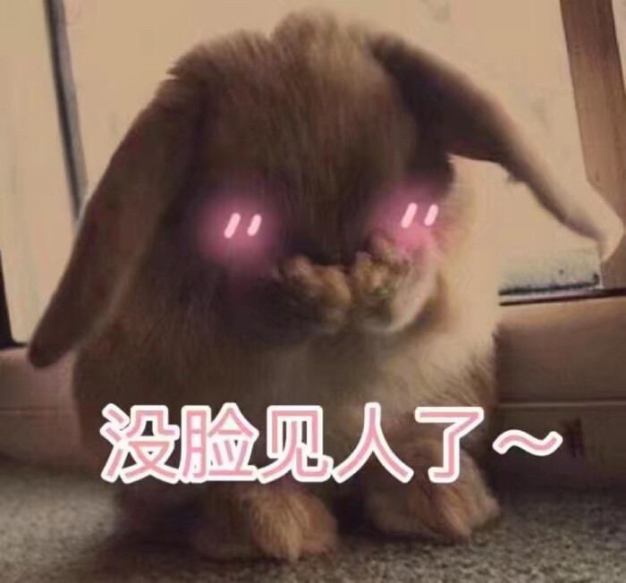 意境 美图 动物 大海 搞笑 gif 暴走漫画 文字控 斗图 表情包 金馆长