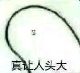真让人头大-堆糖,美好生活研究所